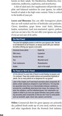 Show full view: The Green Iguana Manual slide 3 of 4