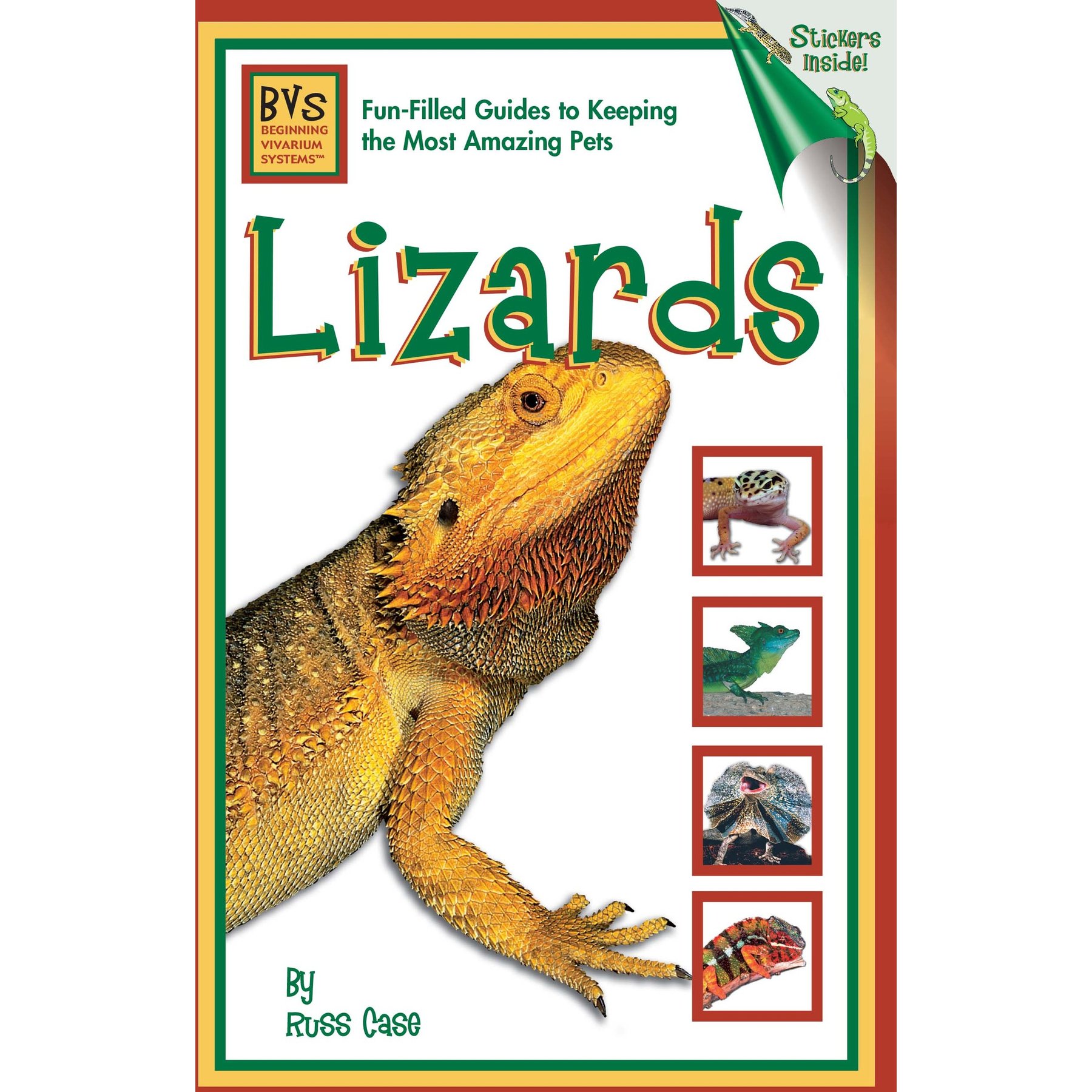 Lizards