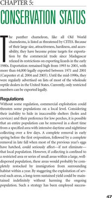 Show full view: Chameleons slide 3 of 5