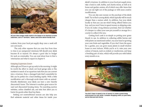 Show full view: Blue-Tongued Skinks slide 3 of 4