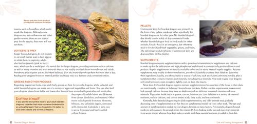 Show full view: Bearded Dragon Manual slide 2 of 4