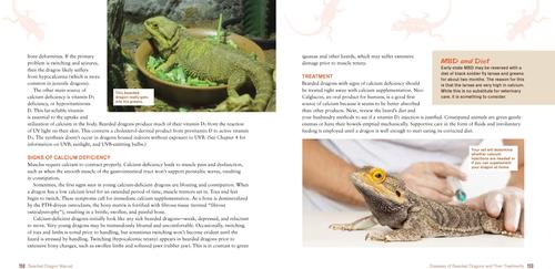 Show full view: Bearded Dragon Manual slide 3 of 4