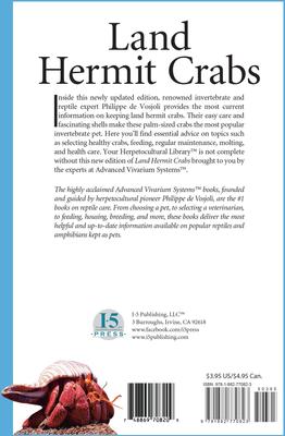 Show full view: Land Hermit Crabs slide 4 of 4