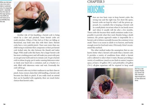 Show full view: Land Hermit Crabs slide 2 of 4