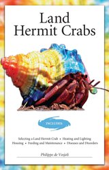 Land Hermit Crabs