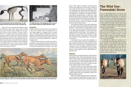 Show full view: The Original Horse Bible, 2nd Edition, hardcover slide 2 of 4