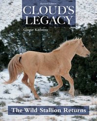 Cloud's Legacy