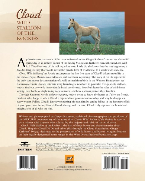 Cloud - Wild Stallion of the Rockies