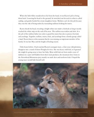 Show full view: Cloud - Wild Stallion of the Rockies slide 2 of 4