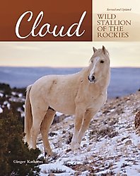 Cloud - Wild Stallion of the Rockies