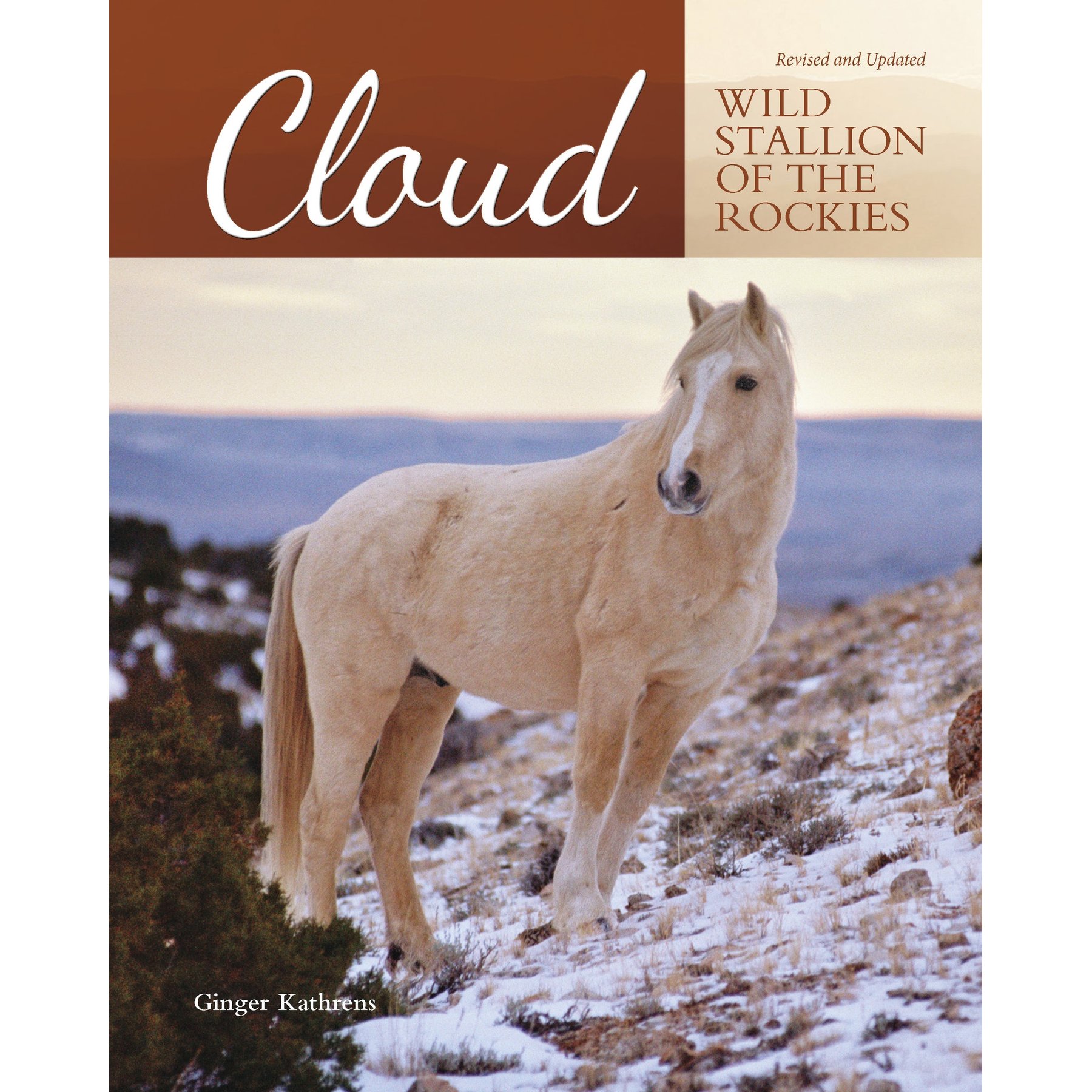 Cloud - Wild Stallion of the Rockies