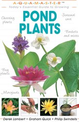 Pond Plants