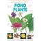 Show in main carousel: Pond Plants slide 1 of 1