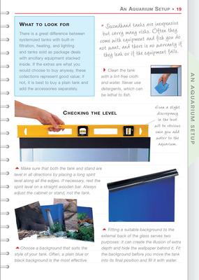 Show full view: Community Fish slide 3 of 5
