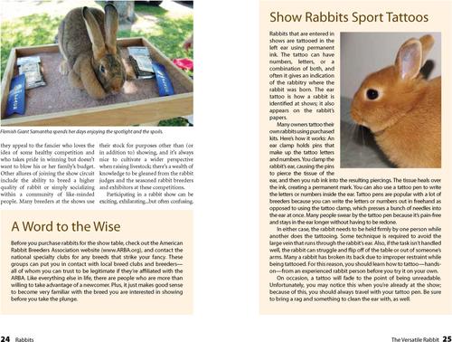 Show full view: Rabbits slide 2 of 4