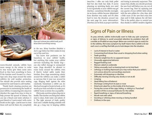 Show full view: Rabbits slide 3 of 4