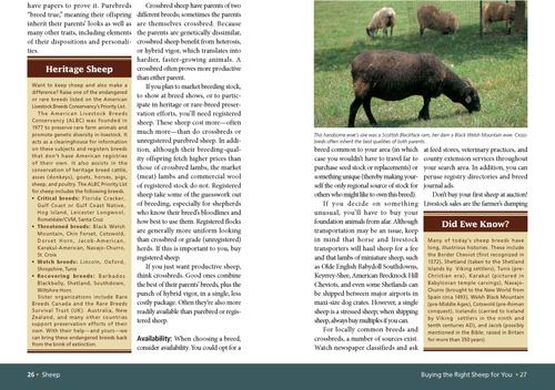 Show full view: Sheep slide 2 of 4