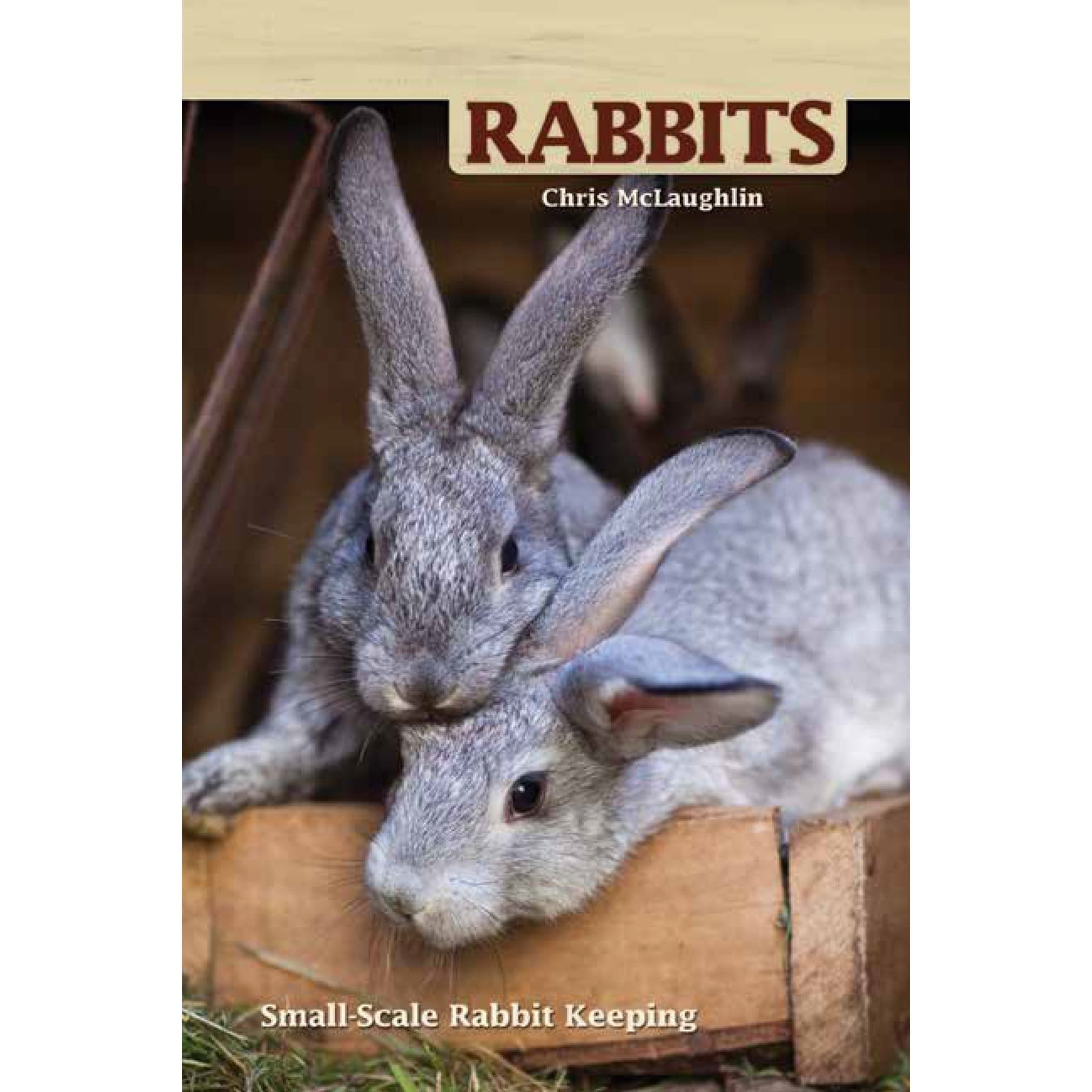 Rabbits
