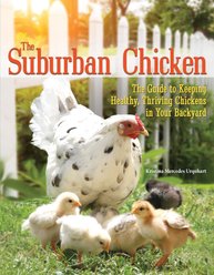 The Suburban Chicken