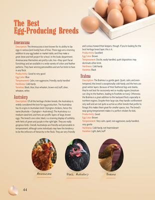 Show full view: The Suburban Chicken slide 2 of 4