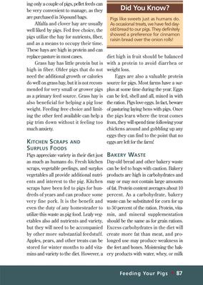 Show full view: Pigs slide 3 of 4