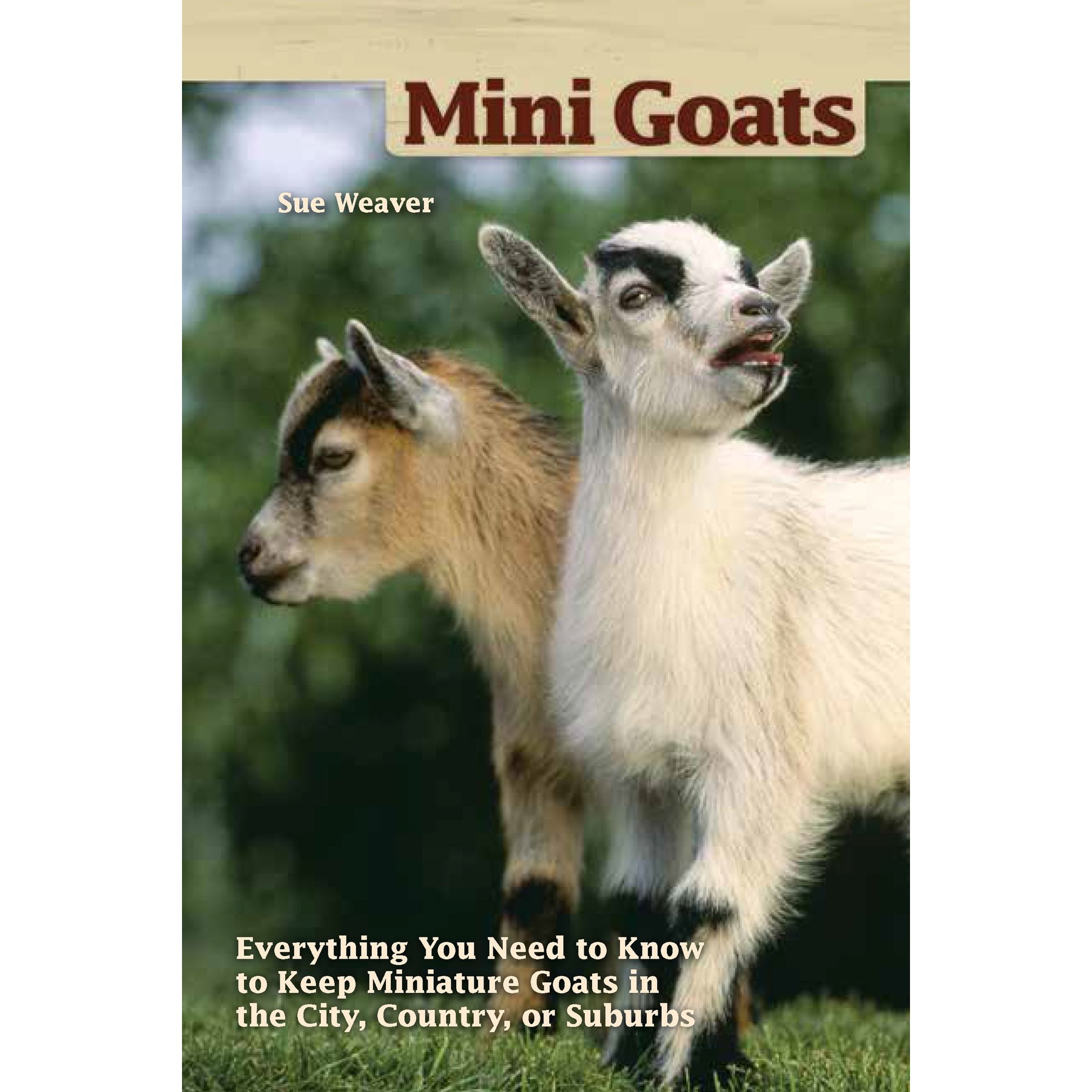 Mini Goats