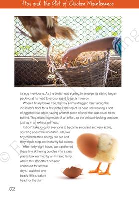 Show full view: Hen and the Art of Chicken Maintenance slide 3 of 4
