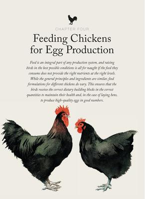 Show full view: Chicken and Egg slide 2 of 3