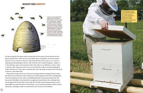 Show full view: Honey Bee Hobbyist - 2nd Edition slide 2 of 4