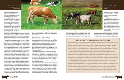 Show full view: Hobby Farm Animals slide 2 of 4