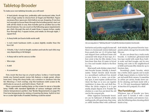 Show full view: Chickens, 2nd Edition slide 3 of 4