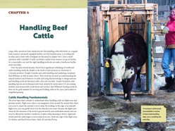 Beef Cattle, 2nd Edition slide 2 of 4