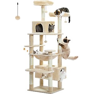 PAWZ Road 72-in Large Hammock Fleece Cat Tree & Condo, Large, Beige