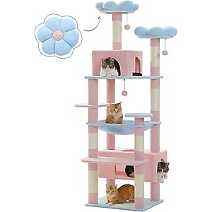 PAWZ Road 72-in Flower Large Hammock Fleece Cat Tree & Condo, Large, Blue