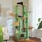 Show in main carousel: PAWZ Road 67-in Large Hammock Polyester Cat Tree & Condo, Large, Green slide 7 of 10