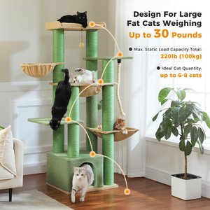 PAWZ Road 67-in Large Hammock Polyester Cat Tree & Condo, Large, Green
