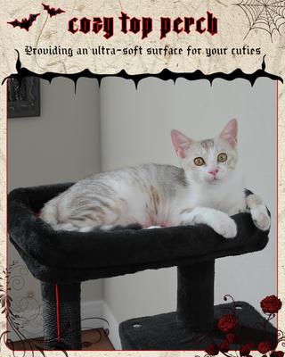 Show full view: PAWZ Road 45.7-in Large Hammock Polyester Cat Tree & Condo, Medium, Black slide 5 of 12