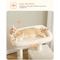 Show in main carousel: PAWZ Road 45.7-in Large Hammock Polyester Cat Tree & Condo, Medium, Beige slide 3 of 11