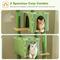 Show in main carousel: PAWZ Road 62-in Polyester Cat Tree & Condo, Green slide 6 of 10