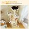 Show in main carousel: PAWZ Road 62-in Polyester Cat Tree & Condo, Beige slide 3 of 10