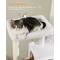 Show in main carousel: PAWZ Road 56.3-in Large Hammock Polyester Cat Tree & Condo, Large, White slide 5 of 11