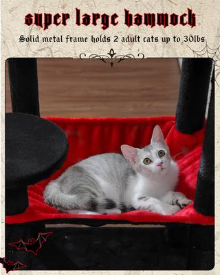 Show full view: PAWZ Road 56.3-in Large Hammock Polyester Cat Tree & Condo, Large, Black slide 4 of 11