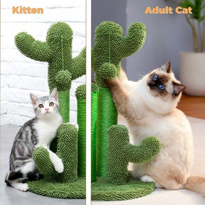 Show full view: PAWZ Road 23-in Cactus Polyester Cat Scratching Post, Medium, Green slide 8 of 10
