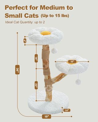 Show full view: PAWZ Road 36-in Modern Wood Flower Cotton Cat Tree, White slide 7 of 8