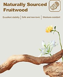 PAWZ Road Wood Flower Modern Cat Tree Tower with Real Wood Branches, Luxury Boho Furniture with Scratching Post & 2 Perches, White slide 2 of 9