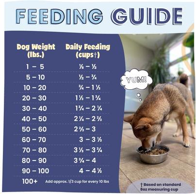 Show full view: Pawstruck Chicken High Protein Grain-Free Air-Dried Dog Food, 32-oz bag slide 9 of 12