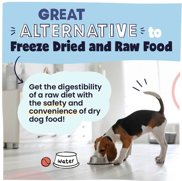 Show full view: Pawstruck Beef High Protein Grain-Free Air-Dried Dog Food, 32-oz bag slide 7 of 12