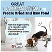 Show in main carousel: Pawstruck Beef High Protein Grain-Free Air-Dried Dog Food, 32-oz bag slide 7 of 12