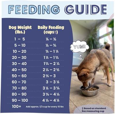 Show full view: Pawstruck Beef High Protein Grain-Free Air-Dried Dog Food, 32-oz bag slide 9 of 12