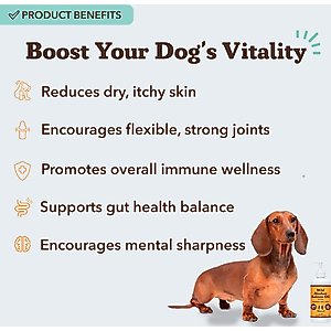 Natural Dog Company Wild Alaskan Salmon Oil Formula Liquid Supplement for Dogs, 16-fl oz bottle